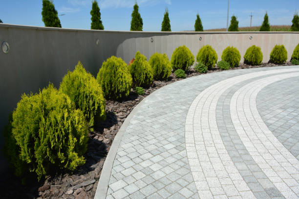 Best Driveway Paving Contractor  in Upland, CA